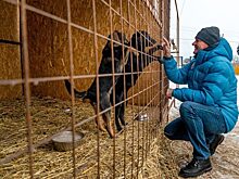 Губернатор погасил долги приюта