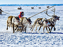 В РФ выпустят аудиокниги на языках народов Севера, Сибири и Дальнего Востока