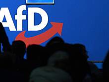 Bild: АдГ создала отдел по подготовке к формированию правительств в регионах ФРГ