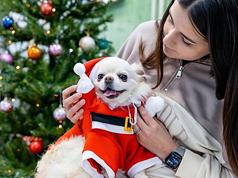 Животных в столичных госветклиниках поздравят в рамках акции "Елка для питомца"