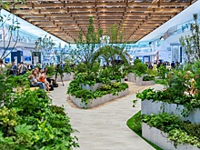 «Город для каждого»: в Манеже посетители могут поучаствовать в «зелёном обмене»