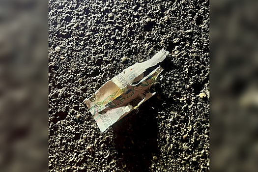 Ребенок лишился пальцев из-за поднятых денег в Подмосковье