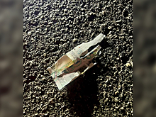 Ребенок лишился пальцев из-за поднятых денег в Подмосковье