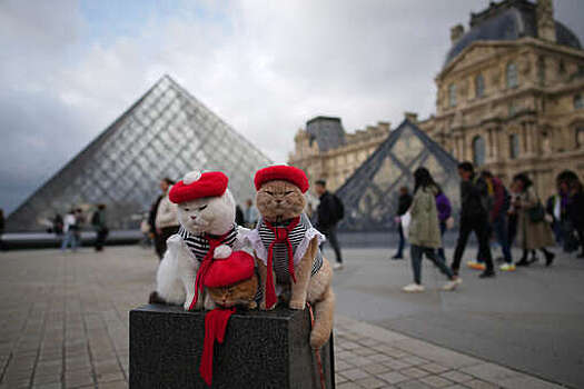 Директор Лувра де Кар: в музее улучшат систему безопасности после ограбления