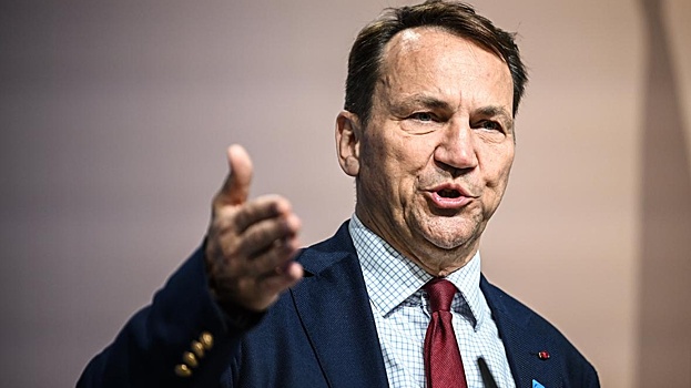 Сикорский усомнился в праве США на ведущую роль в переговорах по Украине