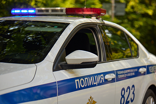 Похитители потребовали выкуп в 3 млн рублей за сына московского чиновника