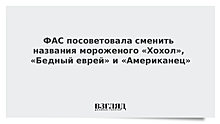 ФАС посоветовала сменить названия мороженого «Хохол», «Бедный еврей» и «Американец»