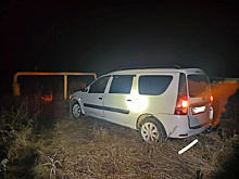 В Самарской области после неудачного маневра легковушка улетела в кювет