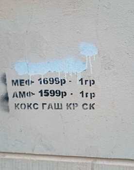 Кот Пушкина вышел на борьбу с рекламой наркотиков в Северной столице