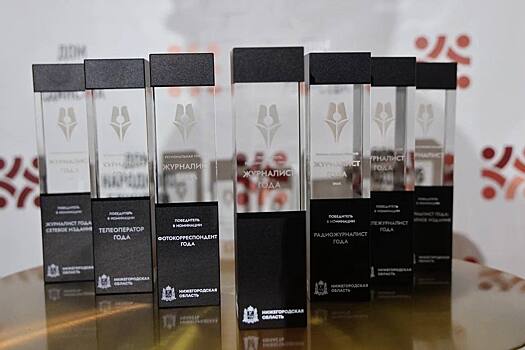 Глеб Никитин поздравил победителей премии «Журналист года»