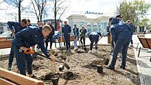 Более 1000 деревьев высадили в Вологде, часть из них – на новом общественном пространстве у ст. «Динамо»