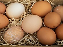 В Минсельхозе оценили ситуацию с яйцами в России