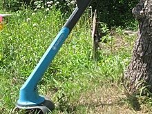 Триммер-пушинка. Рекомендую женскому полу как простой и надежный дачный инструмент