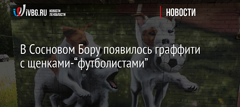 В Сосновом Бору появилось граффити с щенками-“футболистами”