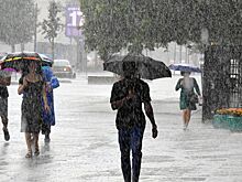 Ураганы в Москве: как это было и к чему привело?