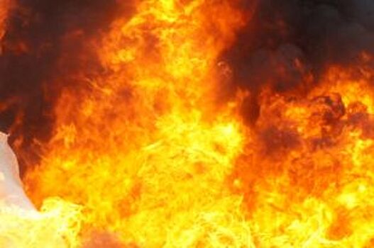 Двое мужчин сгорели во время пожара в садовом обществе под Калининградом