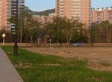 Увиденное во время прогулки по лесу в Снеговой Пади ужаснуло Владивосток