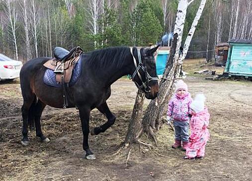 Конный клуб приглашает туристов всех возрастов