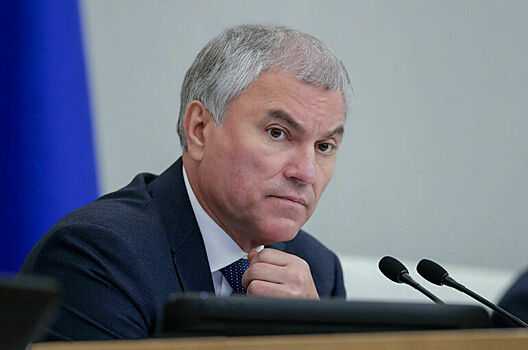 Володин: Частные школы должны быть лучше государственных