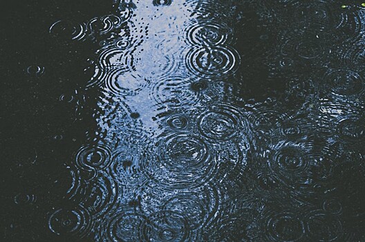 Почему у дождя такой характерный запах?