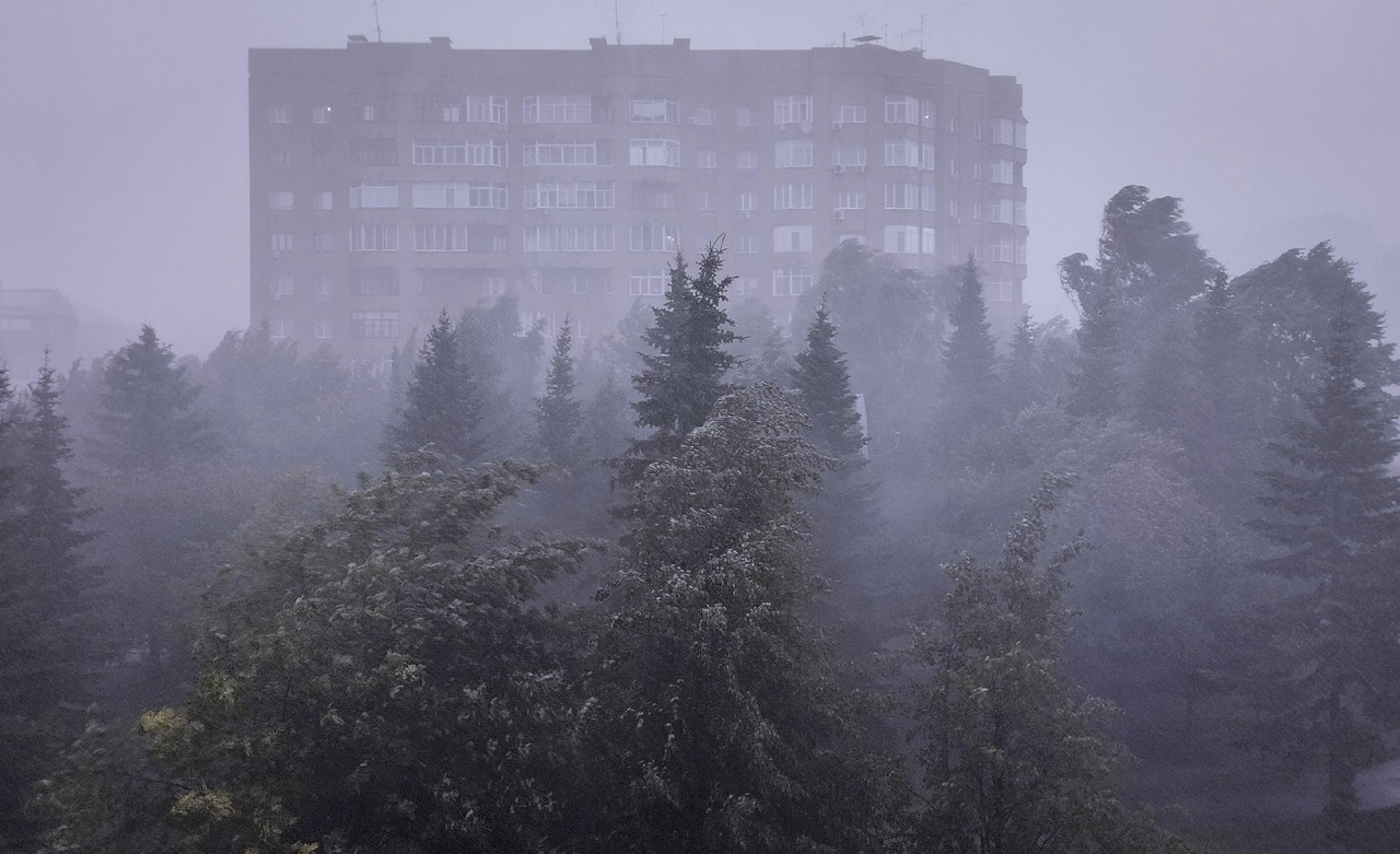 Ветер и дождь: МЧС Новосибирской области предупреждает о приближающейся непогоде