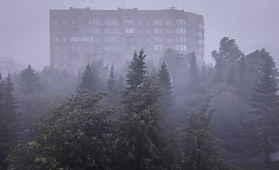 Настоящая зима вернулась в Новосибирскую область