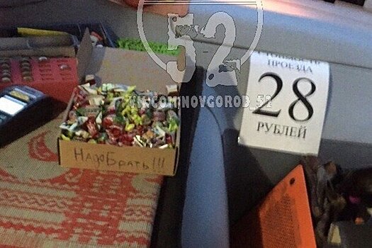 В Нижнем Новгороде появилась «сладенькая» маршрутка