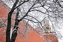 Синоптик Терешонок: декабрь в Москве будет более снежным