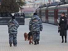 Без вести пропавших нашли нижегородские полицейские в ходе операции «Розыск»