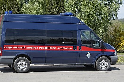 Российский суд арестовал зарубившую топором соперницу в 2005 году иностранку