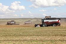 Рекордные 1,65 млн тонн зерна собрали нижегородские аграрии в этом году