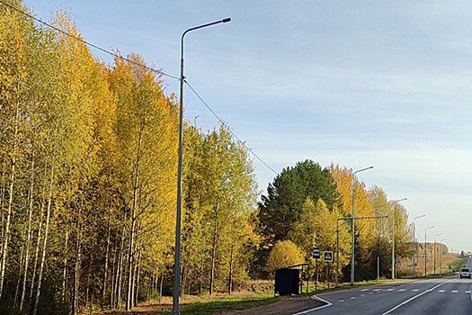 В 10 районах вдоль региональных и местных трасс появится уличное освещение