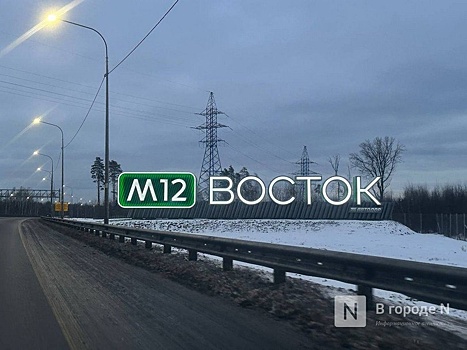 Проезд по трассе М-12 подорожает в Нижегородской области
