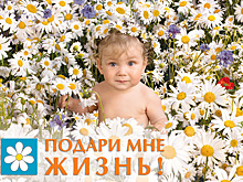 В канун праздника Пасхи в Анапе пройдет акция «Подари мне жизнь»
