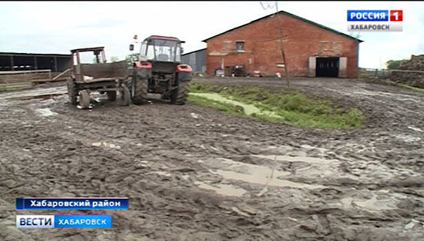 Россельхозцентр оценит ущерб от паводка для хабаровских аграриев