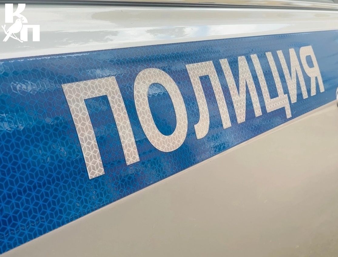 В Курской области задержали 19-летнюю девушку — курьера мошенников