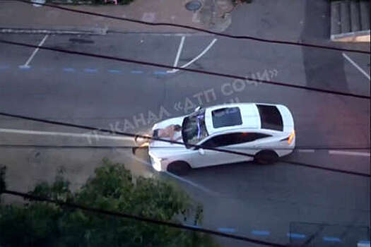 В Сочи на видео сняли, как мужчина в трусах прокатился на капоте