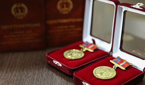В Волгограде 10 депутатов получили награды к юбилею регионального парламента