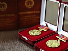 В Волгограде 10 депутатов получили награды к юбилею регионального парламента