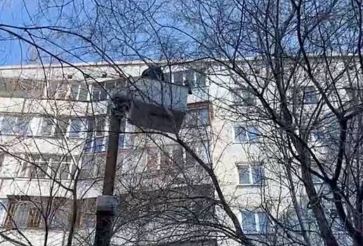 В Омске владелец автовышки бесплатно снял с дерева просидевшего там два дня котенка