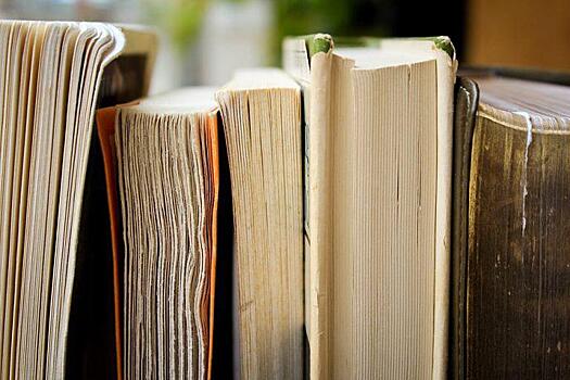 Жители Войковского познакомятся со свежими книгами в летней читальне