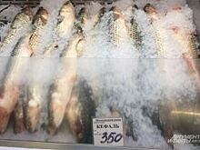 Не вся рыба полезна?