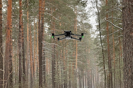 В НСО БПЛА эффективно выявляют «черных» лесорубов и пожары в лесах, власти продолжат внедрение дронов в лесоохрану