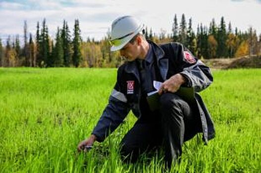 Под знаком года экологии. Что сделают нефтяники для охраны природы?