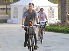 Стало известно ежедневное количество пользователей велопроката