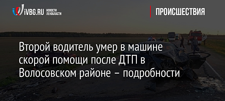 Второй водитель умер в машине скорой помощи после ДТП в Волосовском районе – подробности