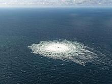 На Украине нашли пропавшего из СИЗО координатора диверсий на «Северные потоки»