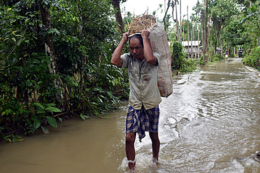 Названа причина беспрецедентных наводнений в Южной Азии