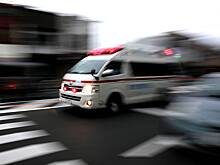 Переехавший группу школьников в Японии объяснил свой поступок желанием убивать