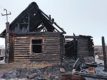 В Новосибирской области задержали двух братьев, убивших гостя